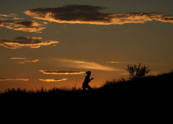 Befason studimi i fundit: Gjysma e botës përjetoi të nxehtin ekstrem