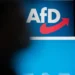 Gjermania shpall AfD-në grup ekstremist të krahut të djathtë