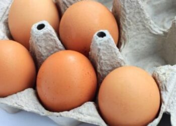 Salmonela, si ta njohim dhe parandalojmë helmimin nga ushqimi?