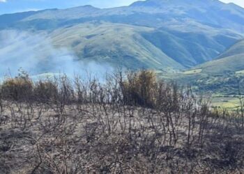 Marrin flakë kullotat në Memaliaj, dyshohet për zjarrvënie të qëllimshme nga një bari