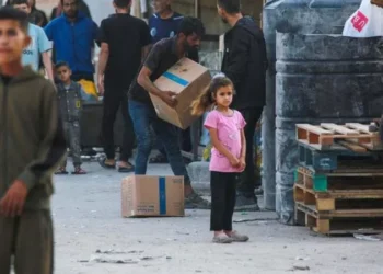 Mjekët pa Kufij: Në Gaza situatë monstruoze, 1 kg sheqer bën 57 dollarë. Nuk ka më as ujë!