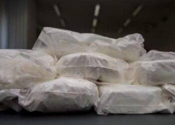 Me 9 kg kokainë të pastër në makinë, 23-vjeçari shqiptar arrestohet në kufirin zviceran, vlera e drogës mbi 1 mln euro