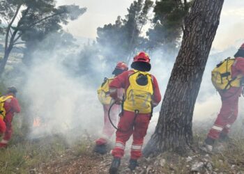 Zjarri në Krastë të Elbasanit, reagon Ministria e Mbrojtjes: Flakët janë nën kontroll