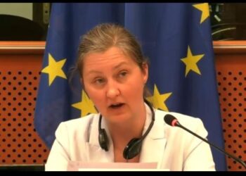 Shefja e Divizionit të BE-së për Ballkanin Perëndimor: Shqipëria pararojë në procesin e integrimit europian! SPAK rol kyç