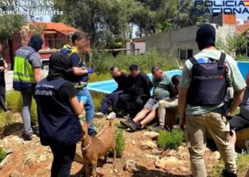 Zbulohet laboratori i kokainës në Valencia, të përfshirë edhe shqiptarë, nxirrnin deri në 30 kilogramë në ditë