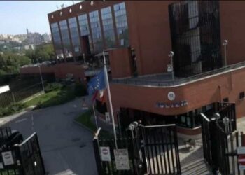 I dënuar për trafik ndërkombëtar droge, arrestohet shqiptari në Itali