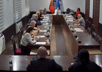 Investimet e huaja në sektorë kritikë në filtrin e qeverisë, Shalsi: Ligji kërkesë e BE!