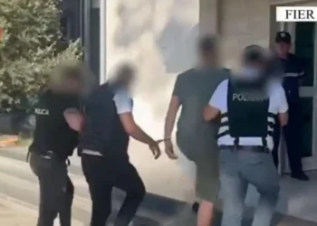 Drogë dhe arsenal armësh brenda në banesë, arrestohen dy vëllezër në Fier