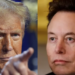 Trump mohon bisedën telefonike me Musk: Atij i ka ikur mendja…