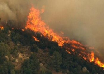 Zjarri në pyllin në Qeparo, Ministria e Mbrojtjes: Vatra është shuar plotësisht pas disa orësh