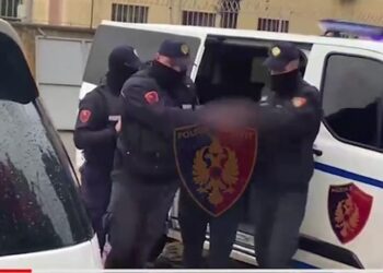 Shkoi të kontrollonte matësin e energjisë në lokalin e tij, 38-vjeçari dhunon punonjësen e OShEE