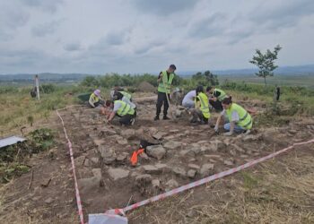 Nga monedhat deri tek kolonat, zbulohen në Divjakë objekte me vlerë arkeologjike