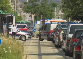 “Momenti më dramatik në jetën e një prindi: e ke përcjellë në mëngjes fëmijën në shkollë dhe…”