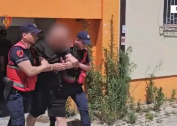 Shiste heroinë dhe kanabis, arrestohet 53-vjeçari në Fier, policia jep detaje