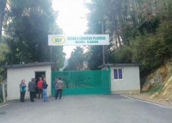 VENDIMI / Ish-punonjësit e Mjekësit, Gramshit e Poliçanit do të marrin pagat e prapambetura