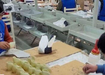 Pronarët kthehen në punëtorë në Shqipëri: Të huajt vijnë pa eksperiencë ose largohen pas 2 muajsh