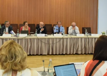 ILD, Metani flet me shifra: 12 hetime disiplinore me indicie nga mediat, 46 kërkesa për informacion