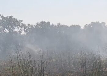 Zjarri djeg dhjetëra dynymë agrume dhe ullishte në Karbunarë, flakët përfshijnë edhe magazinat e fermerëve