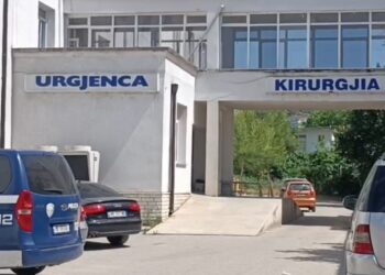 Plagosi 64-vjeçarin me thikë gjatë konfliktit, arrestohet autori në Divjakë