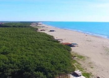 Tjetërsimi i pronave te ‘Rana e Hedhun’, arrestohet topografi i dënuar me 5 vite burg nga Apeli i GJKKO