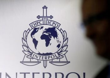 Shpërndanin materiale të abuzimeve seksuale me të mitur! Interpol prangos 20 persona në Evropë dhe SHBA, mes të arrestuarve edhe një mësues