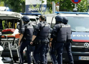 Masakra me 10 të vrarë në Austri, autori kishte përgatitur edhe një bombë artizanale