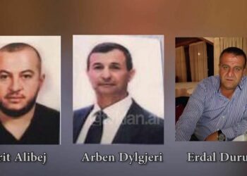 “Ka qenë shumë i tmerrshëm Endriti”, Alibej tregon si i mësoi emrat e përfshirë në vrasjen e të vëllait