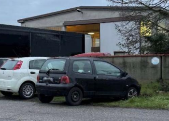 Dominohej nga shqiptarët, goditet banda në Itali! Magazina me marijuanë çon në pranga 12 persona
