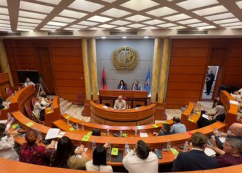 Megi Fino zgjidhet kryetare e Këshillit Bashkiak, Endrit Braimllari nënkryetar