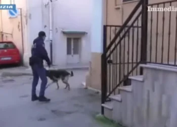 Operacion antidrogë në Itali, pranga 11 personave, ‘koka’ e grupit një shqiptar