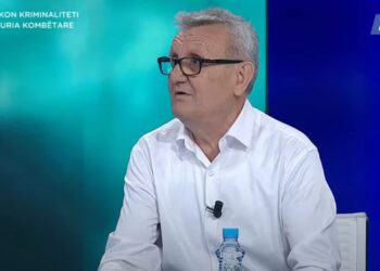 Si ndikon kriminaliteti te siguria kombëtare? Nako: Afërsia e krimit me strukturat shtetërore mbetet problem