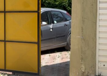 Nxori pistoletën për të vrarë qenin, por plumbat kapën çiftin. Detaje nga plagosjet në Gosë