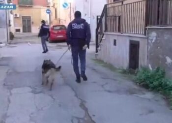 I “tradhtoi” GPS/ Zbulohet emri i shqiptarit të arrestuar në Itali që furnizonte me drogë Puglian