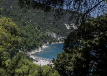 Bloomberg: Aeroporti i Vlorës shtysë për investimet elitare! Resorti i Kushner ofron turizmin e nivelit të lartë