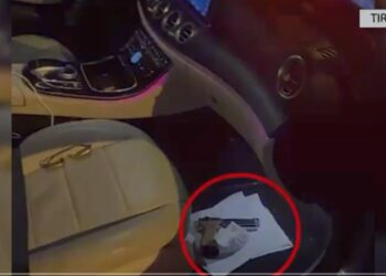 Me drogë dhe armë në makinë, një nga të arrestuarit në “Ali Dem”, anëtar i bandës së Gjergj Cukalit