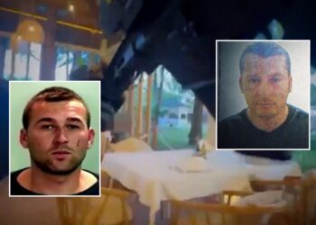 Vëllezërit Xhani dhe Xhevdet Plaku ortakë/ Zbardhen aleancat mes të arrestuarve në restorantin e Lalzit, ja provat e prokurorisë