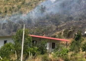 Zjarri shkrumbon 3 hektarë kullota në Gjirokastër, rrezikohet një banesë në fshatin Palokastër