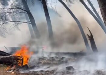 Situatë alarmante në Elbasan, përhapet me shpejtësi zjarri në Kodër Krastë