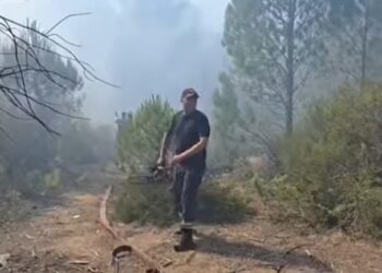 Zjarri në masivin pyjor të Darzezës, pas disa orësh përpjekje neutralizohen flakët