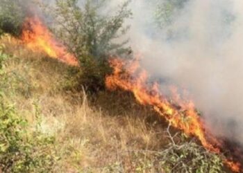 I vendosi zjarrin mbeturinave në oborr, humb jetën 78-vjeçari në Kurbin
