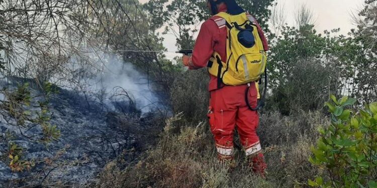 Zjarret në vend, Mbrojtja jep detajet: Gjatë 24 orëve janë raportuar 20 vatra, 3 ende aktive
