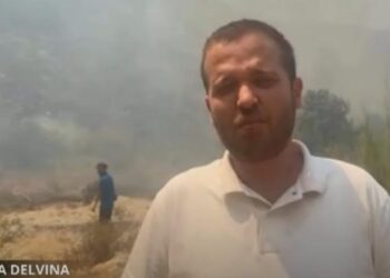 Zjarret në Delvinë, Ardit Bido: Dëme në shtëpi të pabanuara, kullota e ullinj, do ketë një vlerësim të tyre