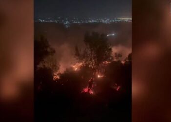 E nisi për “pastrim”, i vuri flakën pyllit! Arrestohet 58 vjeçari në Shijak
