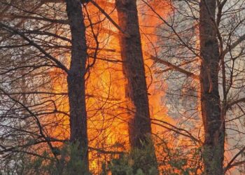 Pesë vatra aktive zjarri në vend, angazhohen zjarrfikës, automjete dhe helikopterë