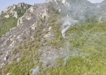 Zjarret, Prefektura e Korçës: Kemi 5 mushka të ngarkuara me ujë në terren, ku paraqitet rrezik më i madh