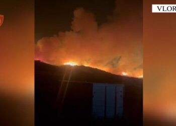 Ndezi zjarr për pastrimin e barërave, por i vuri flakën Shashicës, kush është 33-vjeçari i arrestuar