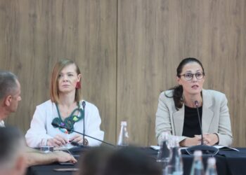 “Inteligjencë Artificiale për zhvillimin e vendit”, ministrja Ibrahimaj prezanton strategjinë