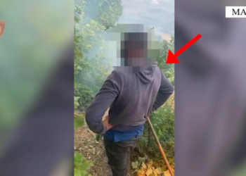 Ndezi zjarr për të hapur kullotë, arrestohet 26-vjeçari në Maliq