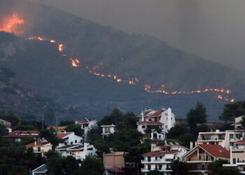Zjarret “rrethojnë” Turqinë, gjendje e rëndë në Greqi dhe Bullgari