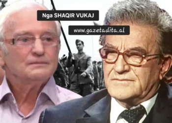 Familjet e Mëdha dhe “Opingat”